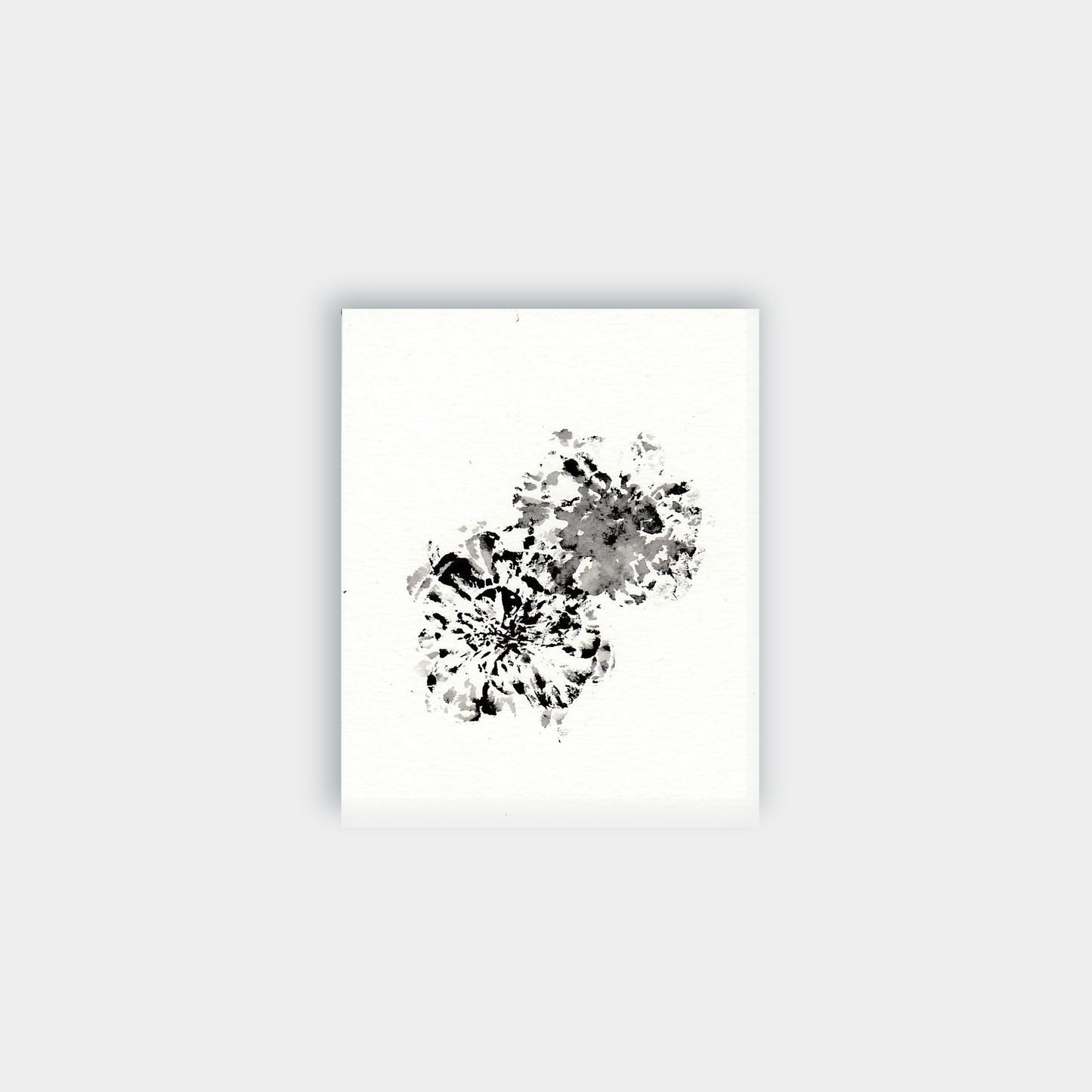 Lino - Flower #2